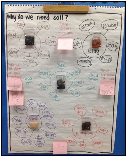 Types of soil concept map Types Of Soil Project, Kid Science, Primary Science, Science Crafts, Biblical Marriage, Concept Map, Mind Map, Types Of Soil, Science For Kids