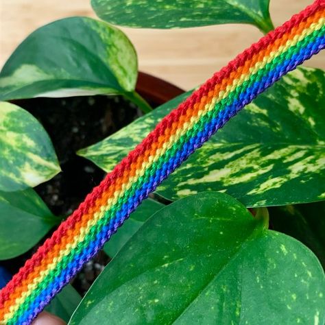 Lgbt Bracelet, Brazilian Bracelet, Floss Bracelets, Diy Friendship Bracelets Tutorial, Bracelets Tutorial, Cute Friendship Bracelets, Pride Bracelet, Diy Bracelets Tutorials, Embroidery Bracelets