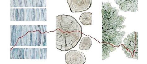 Jill pelto Urban Design Graphics, Tree Rings, Beautiful Paintings, Culture Art, Original Watercolors, Landscape Paintings, Watercolor Paintings, Arch, Sketch Book