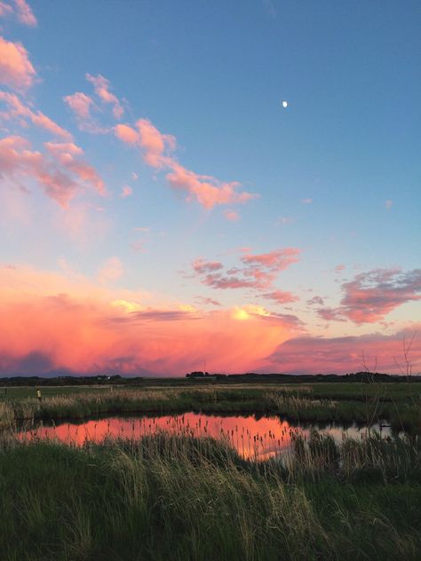 Grande Prairie Alberta, Alberta Prairie, Storm Sunset, Prairie Aesthetic, Prairie Sunset, Sky Scapes, Prairie Landscape, Sunset Field, Sunset Hills