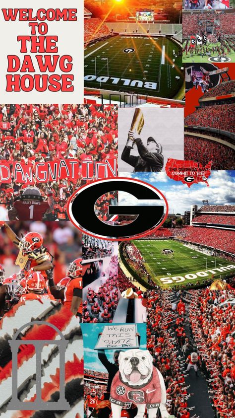 Cute Uga Wallpaper, Georgia Bulldogs Football Wallpapers, Ga Bulldogs Wallpaper, Cute Georgia Bulldogs Wallpaper, Georgia Football Wallpaper, University Of Georgia Aesthetic, Georgia Background, Georgia Bulldogs Wallpaper, Carson Beck