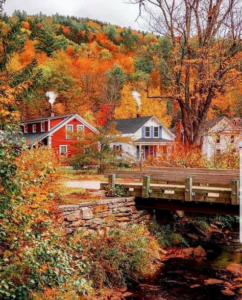 Autumn Adventures, Fall Stuff, New England Fall, Autumn Magic, Autumn Scenes, Autumn Scenery, Fabulous Fall, Autumn Beauty, Fall Pictures