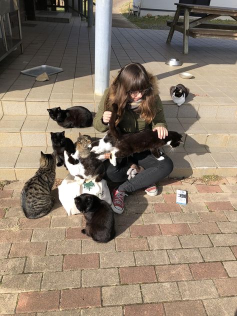 Tashirojima Island in Japan. Known as Cat Island. My wife is in heaven Cat Island Japan Aesthetic, Crazy Cat Lady Aesthetic, Person Petting Cat, Cat Lady Aesthetic, Cat Island Japan, Cat In Japan, Cats In Japan, Cats Japan, Cat Heaven