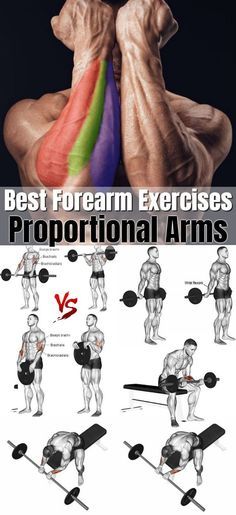 Fore Arms Exercise, Forearm Muscles Workout, Hand Workout, Forearm Workouts, Best Forearm Exercises, Forearm Exercises, Forearm Workout, Latihan Dada, Gym Workout Planner