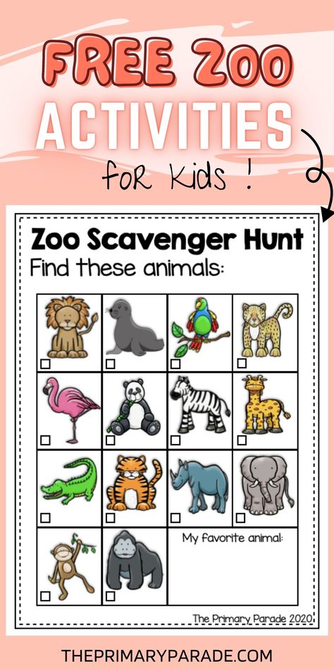 Preschool Zoo Theme Activities, Zoo Week Preschool Activities, If I Ran A Zoo Activities, Zoo Animals Kindergarten Activities, Animal Week Activities, Put Me In The Zoo Activities Preschool, Zoo Games For Kids, Zoo Sensory Bin Preschool, Zoo Theme Toddler Activities