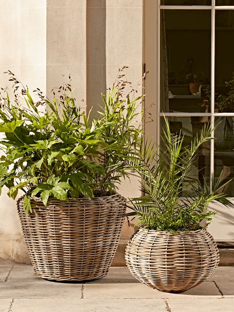 Plants In Baskets, Rattan Planters, Dining Table Design Modern, Mad About The House, Wicker Planter, Country Wall Decor, Plants Are Friends, Outdoor Gifts, Indoor Planter