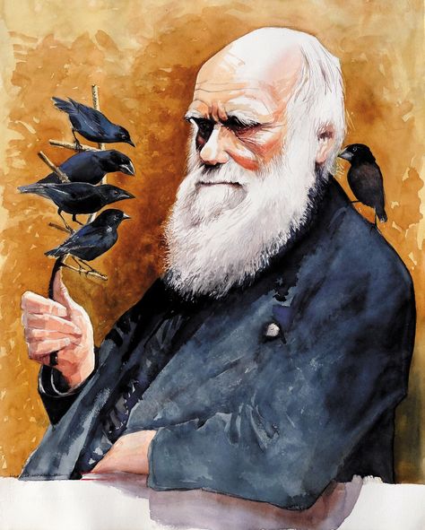 Charles Darwin: The Brilliant Plodder | by David Quammen | The New York Review of Books Evolution Art, Origin Of Species, Conservation Biology, Historical People, Natural Selection, Fish Drawings, Charles Darwin, Indigenous Culture, School Art Projects