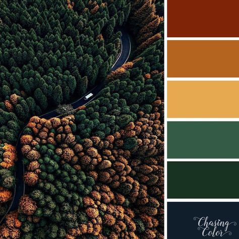 🎨 #chasingcolor #color #colour #palette #colorpalette #colourpalette #colortheme #colorscheme #colorinspiration #colorinspo #colorlove… Forest Green Complementary Colors, Forest Color Scheme, Learning Colours, Fishing Cabin, Create Color Palette, Bedroom Colour Palette, Green Colour Palette, Fall Color Palette, Forest Trees