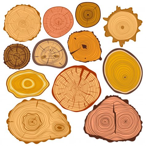 Cercle De Tranches De Bois Texture Arbre... | Premium Vector #Freepik #vector #arbre Painted Wood Texture, Tree Ring Art, Tree Circle, Map Symbols, Texture Drawing, Art Chair, Tree Illustration, Wood Tree, Banner Printing