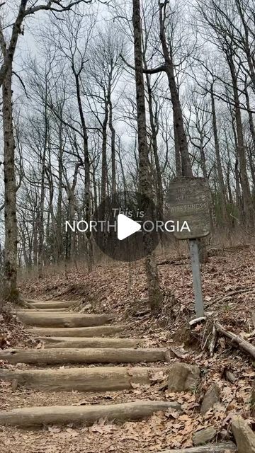 Josh | North Georgia Hiking & Adventures on Instagram: "Follow along as we explore North Georgia this Spring and Summer! 

#northgeorgia #experiencenorthga #northgamountains" Georgia Hiking, Hiking Adventures, North Georgia, Georgia, This Is Us, Hiking, On Instagram, Instagram