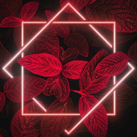 Background And Lockscreen, Red Leaves, We Heart It, Neon, Lost, Wallpapers, Frame, Red, Pattern