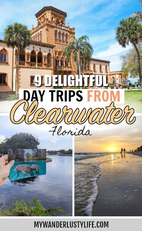 9 Delightful Day Trips from Clearwater: Florida One Tank Trips You'll Love Best Places In Florida To Vacation, Florida Day Trips For Couples, Florida Road Trip Ideas, Florida Day Trips, Trips For Couples, Places To Visit In Florida, Florida Trips, Florida Vacation Spots, Travel Places To Visit