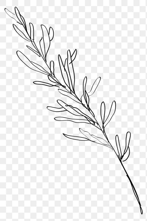 Leafs Aesthetic, Line Drawing Leaves, Leaves Line Drawing, Leaf Line Drawing, Line Art Leaf, Line Art Leaves, Png Tattoo, Feminine Line Art, Leaf Line Art