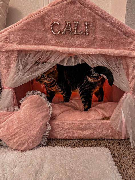 Fancy Cat Bed, Princess Cat Bed, Aesthetic Cat Bed, Cat Palace, Princess Dog Bed, Luxury Dog House, Big Dog Beds, Cat Queen, Cat Princess