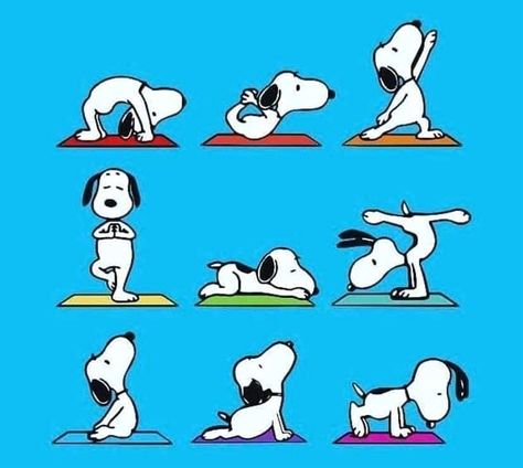 Snoopy Yoga, Snoopy Museum, Yoga Cartoon, Snoopy Party, Snoopy Comics, Snoopy Cartoon, 귀여운 음식 그림, Snoopy Funny, Snoopy Images