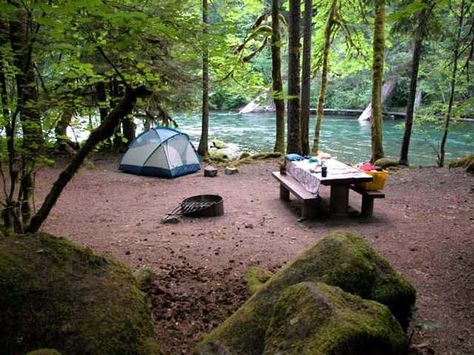 Paradise in Oregon – Blue River | Discover Oregon’s Natural Beauty at These 10 Campgrounds Oregon Camping, Oregon Life, Explore Oregon, Oregon Vacation, Camping Diy, Oregon Road Trip, The Oregon Trail, Lake Winnipesaukee, Best Campgrounds