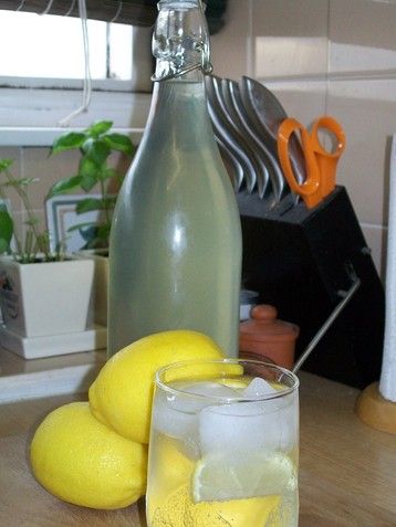 Lemon Squash Drink, Squash Drink, Cooling Glass, Lemon Squash, Childhood Summer, Elderflower Cordial, Squash Recipe, Chutney Recipes, Squash Recipes