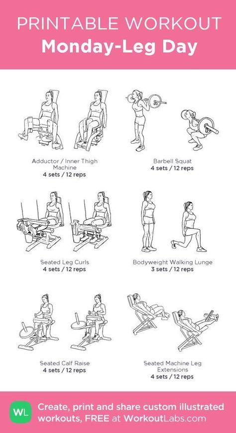 Gym Female, How To Get Curves, Seated Leg Curl, Leg Workouts Gym, Workout Gym Routine, Gym Workout Plan For Women, At Gym, Total Workout, Fitness Ideas