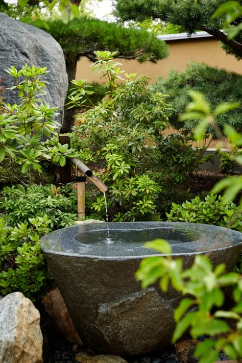 Asian Garden Design, Japanese Water Feature, Serenity Garden, Small Japanese Garden, Japanese Water, Japan Garden, Meditation Garden, Asian Garden, Zen Gardens