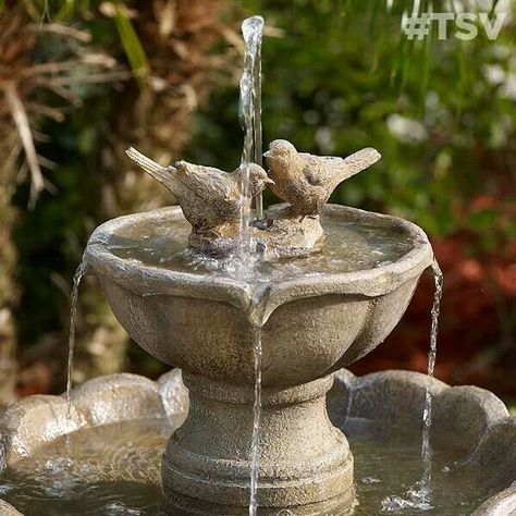 Pitcher Fountain, Backyard Waterfall, Fountain Ideas, Ornaments Ideas, Garden Water Fountains, Diy Garden Fountains, Bird Bath Fountain, Bird Bath Garden, Estate Garden