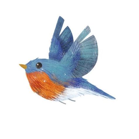 Bird Artists, Eastern Bluebird, Animal Doodles, Daily Drawing, Bird Pictures, Bird Drawings, Pretty Birds, Bird Illustration, Little Birds