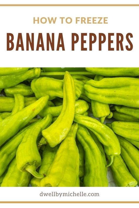 Do you have a lot of banana peppers but don’t know what to do with them? Is the clock ticking down, and you don’t want them to rot? Luckily, you have a few options. You can make some salsa, pickle them, or put them in the freezer to use later. This article will explain how to freeze banana peppers. What Can You Do With Banana Peppers, Can You Freeze Banana Peppers, Can You Freeze Peppers, Storing Banana Peppers, How To Freeze Banana Peppers, How To Use Banana Peppers, How To Preserve Banana Peppers, Banana Pepper Ideas, What To Do With Fresh Banana Peppers