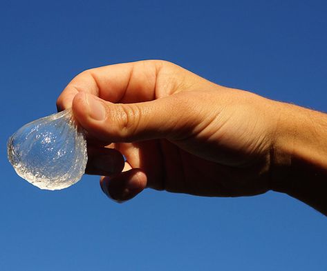 This Edible Water Bottle Could Help Prevent A Bunch of Pending Environmental Disasters Edible Water Bottle, Going Green, Help The Environment, Year 1, The Environment, Go Green, Water Bottle, Water, Green