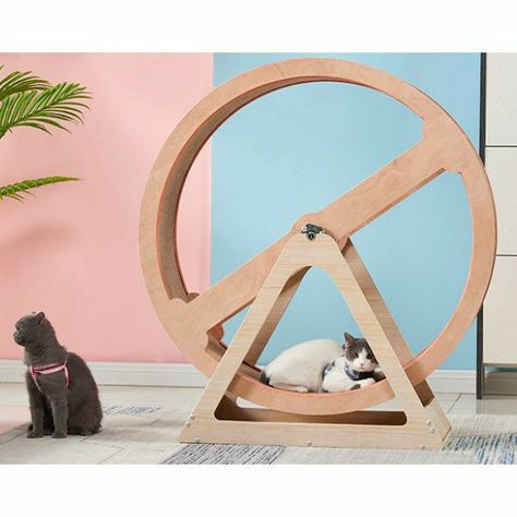 Cat Exercise Wheel Diy, Cool Cat Beds, Cat Wheel, Cat Exercise Wheel, Cat Gym, Cat Patio, Cat Climbing Frame, Cat Wall Furniture, Cat Exercise