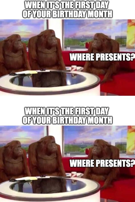 Birthday Memes: Bringing Joy and Laughter to Celebrations Birthday Memes Funny Hilarious, Happy Birthday Sister Funny Humor, Elder Sister And Younger Brother, Birthday Memes Funny, Sister And Younger Brother, Happy Birthday Younger Brother, Younger Brother Quotes, Happy Birthday Sister Funny, Funny Happy Birthday Meme