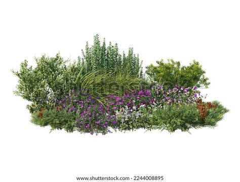 3d Render Shrub Flowering Plants On Stock Illustration 2244008895 | Shutterstock Small Flower Gardens, Flowering Plants, 3d Render, Illustration Vector, Small Garden, Small Flowers, Flower Garden, Planting Flowers, Stock Illustration