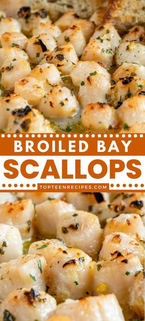 Bay Scallops And Pasta Angel Hair, How To Cook Bay Scallops, Bay Scallops Sauteed, Frozen Bay Scallop Recipes, Mini Scallops Recipe, Small Scallops Recipe, Bay Scallop Recipes Easy, Scallops Dishes, Bay Scallops Recipe