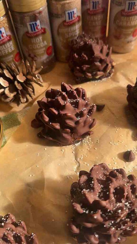 Festive Pinecone Truffles – Perfect Holiday Dessert Recipe - Munchies By Mallory Pine Cone Truffles, Pinecone Dessert, Pinecone Truffles, Nonpareils Recipe, Meatball Sliders Hawaiian Rolls, Pinecone Cookie, Easy Meatball Sliders, Sliders Hawaiian Rolls, Pinecone Cookies