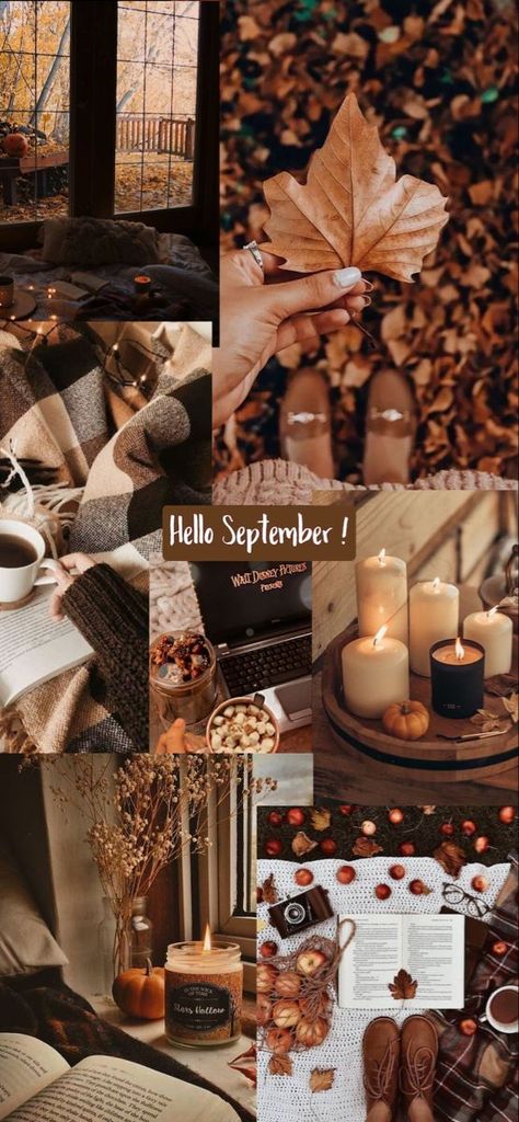 Hello September Aesthetic Wallpaper, September Wallpapers Aesthetic, Fall Wallpaper Aesthetic September, October Autumn Wallpaper, Cute Autumn Aesthetic Wallpaper, September Screensavers Wallpapers, Fall 2023 Wallpaper, September Aesthetic Photography, August Asethic Wallpaper