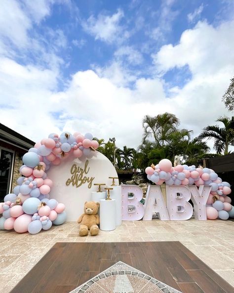 Gender Reveal Ideas For Party Outside, Garden Gender Reveal Party Ideas, Trending Gender Reveal Ideas, Oh Baby Gender Reveal Decorations, How To Reveal Gender, Gender Decoration Ideas, Gender Reavel Party Decorations, Gender Reavel Ideas Theme, Big Gender Reveal Ideas