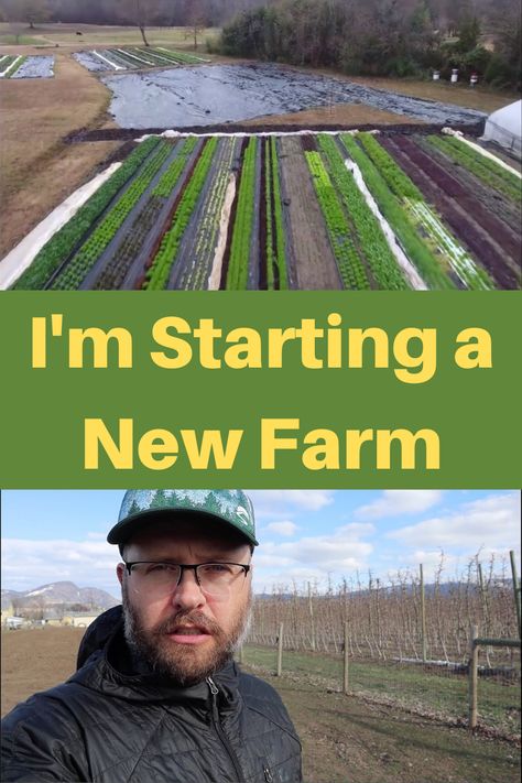 Farming Hacks, Farming For Beginners, Homestead Business, Homesteading For Beginners, How To Farm, Homestead Property, Dream Homestead, Beginners Gardening, Curtis Stone