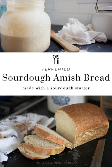 Sourdough Amish Bread Old Fashioned Sourdough Bread, Long Fermented Sourdough Bread, Amish Sourdough Bread Recipe, Amish Starter, Hopewell Heights, Ancestral Eating, Sourdough Sandwich Loaf, Amish Bread Recipes, Sourdough Sandwich Bread