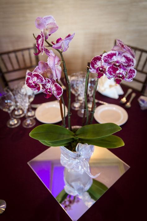 Leaves Centerpiece, Orchid Centerpieces Wedding, Centerpiece Purple, Orchid Centerpiece, Purple Wedding Centerpieces, Orchid Centerpieces, Reception Tables, Orchid Wedding, Wedding Table Flowers