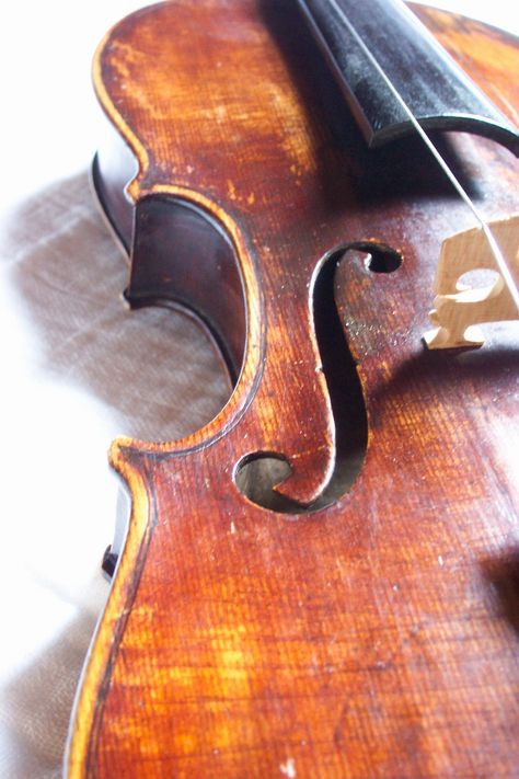 Old Violin by Lily-Anne Old Violin, Cello Music, Music Studio, Precious Moments, Violin, My Name, Jesus Christ, My Blog, To Read