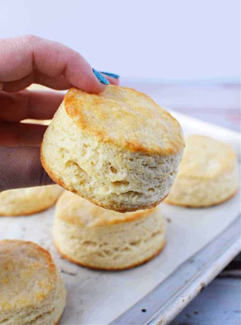 How to make Bisquick biscuits fluffy! The top 3 tips to baking fluffy biscuits in your oven every single time. Best kitchen hack ever. Tea Scones Recipe, Honey Butter Chicken Biscuit, Afternoon Tea Scones, Bisquick Biscuits, Easy Homemade Biscuits, Honey Butter Chicken, English Scones, Scones Recipe Easy, Easy Teas