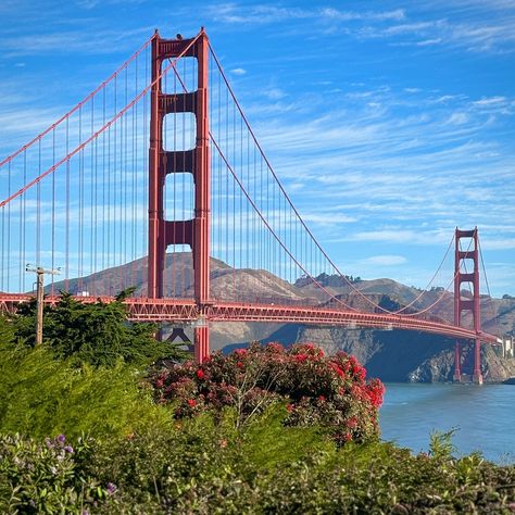 📍San Francisco, CA The Golden Gate Bridge in perfect weather from my recent trip along the west coast. + some extra goodies 🌉 #sanfrancisco #goldengatebridge #travel #travelphotography #beautiful #memories #photooftheday San Francisco Golden Gate Bridge, The Golden Gate Bridge, Beautiful Memories, Perfect Weather, Golden Gate Bridge, Golden Gate, West Coast, The Golden, Gate