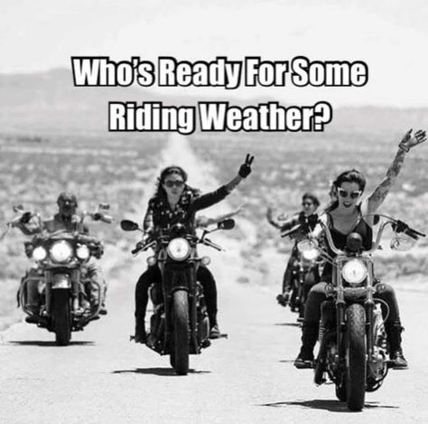 Rider Quotes, Motorcycle Memes, Female Motorcycle Riders, Diy Motorcycle, Bike Quotes, Biker Quotes, Motorcycle Quotes, Motorcycle Pictures, Last Ride