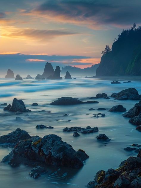 Olympic National Park, Washington State, Washington, Beautiful Places, National Parks, Travel