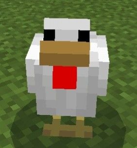 Minecraft, Chicken