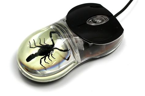 Scorpion Computer Mouse Laptop Cooling Pad, Mouse Computer, Dark Grunge, Laptop Mouse, Old Computers, Dating Site, Scorpion, Online Dating, Mice