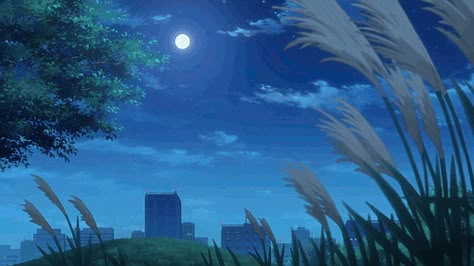 Gif Background, Sky Anime, Scenery Background, Anime Gifs, Anime Gifts, Aesthetic Gif, Anime Scenery Wallpaper, Sky Aesthetic, Scenery Wallpaper