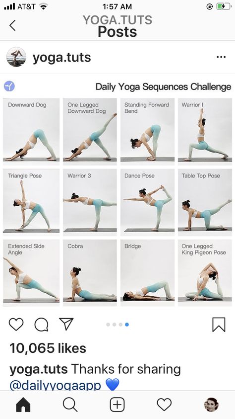 Dancer Pose Sequence, Warrior 3 Sequence, Mermaid Pose Yoga Sequence, Warrior Pose Yoga Sequence, Dolphin Pose Yoga Sequence, Creative Yoga Flow Sequence, Warrior Sequence Yoga, King Pigeon Pose, King Pigeon