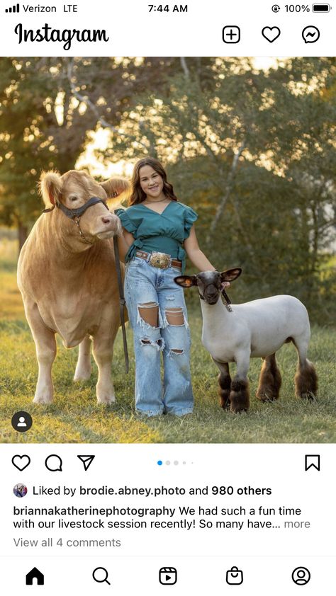 Livestock Photographer Aesthetic, Cattle Showing Outfits, Showing Cattle Outfits, Steer Senior Pictures, Livestock Pictures Senior Pics, Show Lamb Photoshoot, 4h Senior Picture Ideas, Show Day Hairstyles Livestock, Senior Pictures With Animals