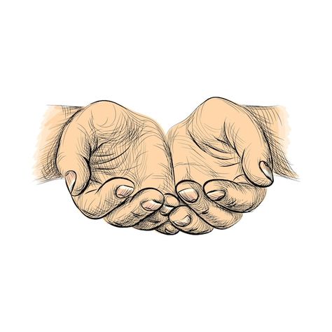 Begging Hands, Praying Hands Drawing, Hands Vector Illustration, Hand Holding Something, Hands Vector, Hand Palm, Pencak Silat, Hand Drawing Reference, Hand Sketch