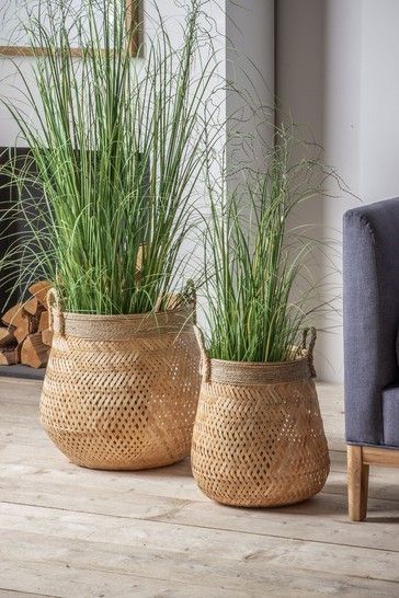 Aesthetic Bamboo, Tall Potted Plants, Bamboo Baskets, Basket Plant, Boho Patio, 2024 Aesthetic, Bamboo Decor, Big Basket, Woven Decor