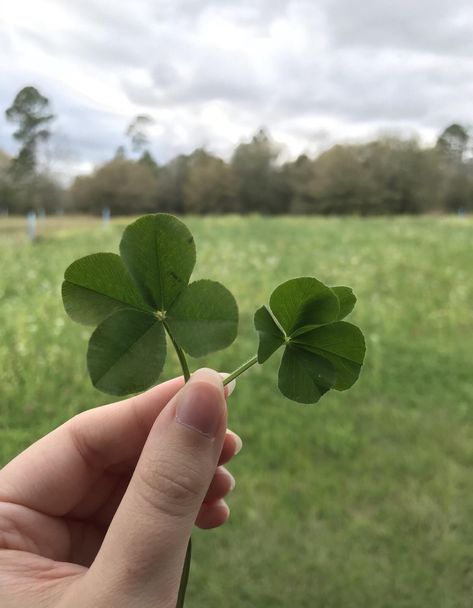 Five Leaf Clover, Four Leaf, Leaf Clover, Four Leaf Clover, My Dad